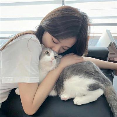 难续未了缘